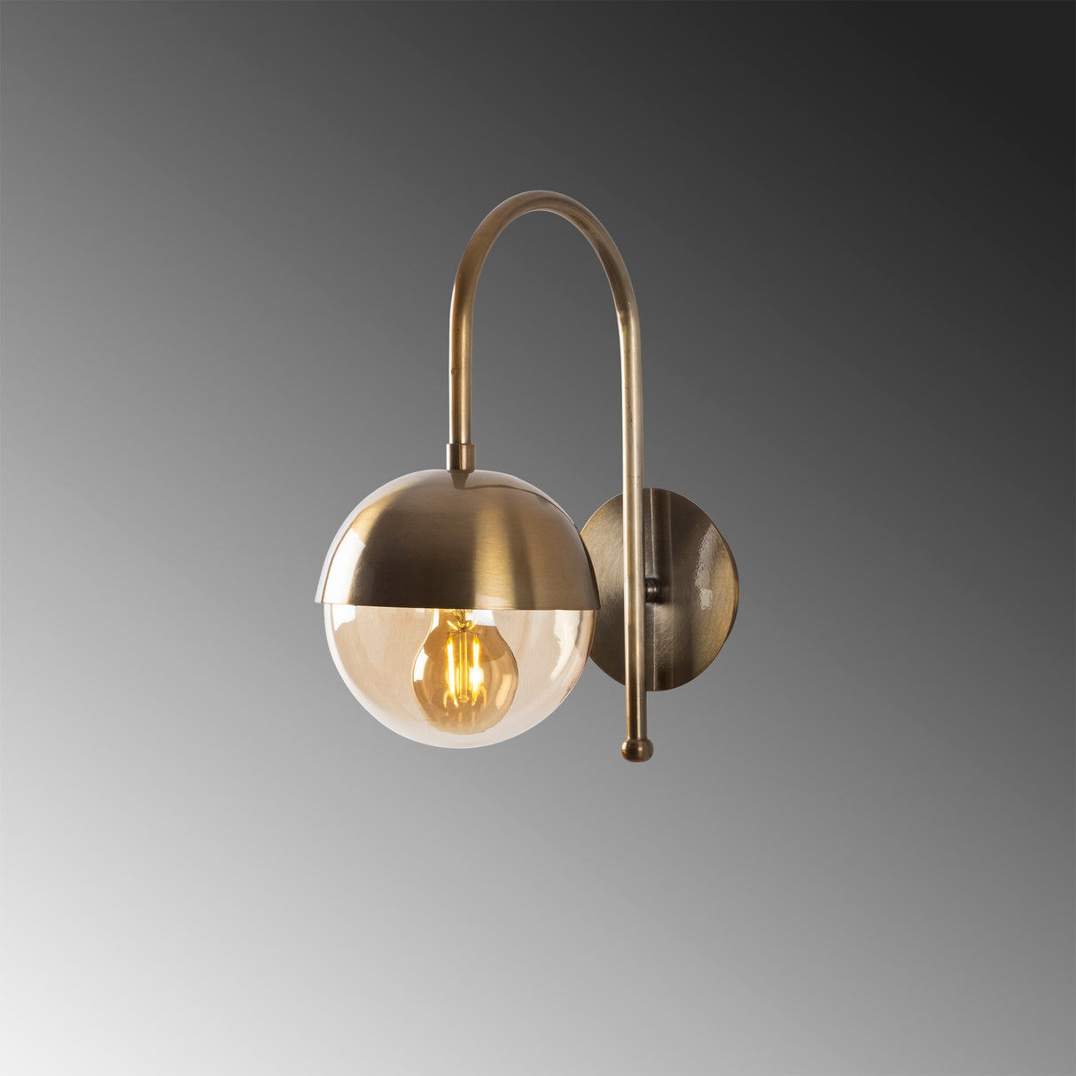 Bronze Glass Wall Lamp Carina