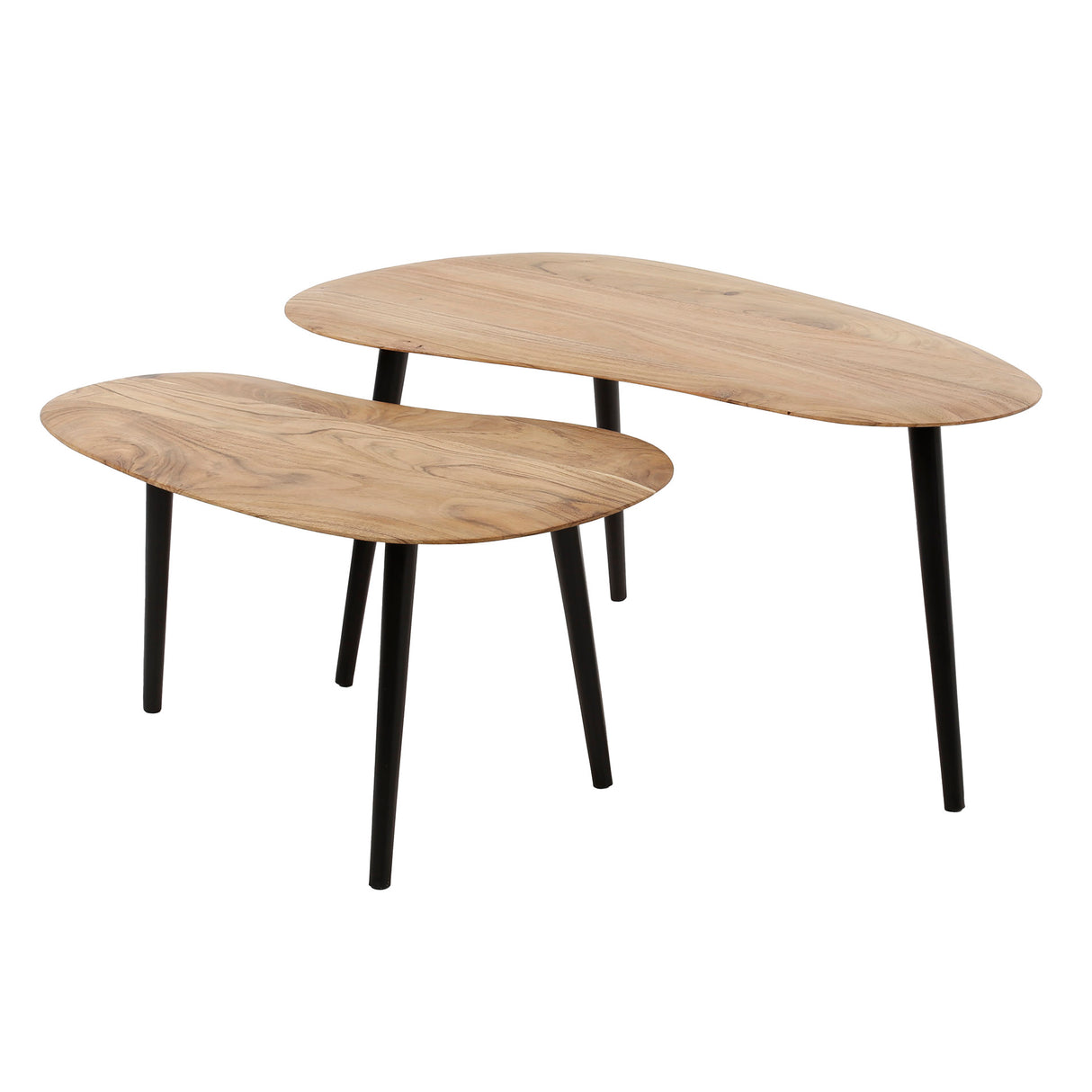 Organic Kidney Shape Coffee Table Elvie Set of 2 Acacia Wood