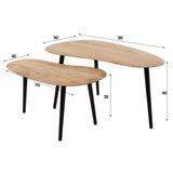 Organic Kidney Shape Coffee Table Elvie Set of 2 Acacia Wood