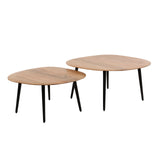 Organic Coffee Table Elvie Set of 2 Pebble Shaped Acacia Wood