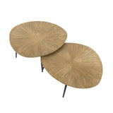 Arno Coffee Table Set of 2 €77-€60 organically antique gold 