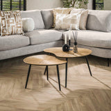 Coffee table set Kidney – Metal Antique Gold (2-piece) 