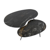 Niora Oval Shaped Coffee Table Set of 2 Ceramic Fossil Black 