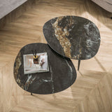 Niora Organic Coffee Table Set of 2 Ceramic Fossil Black 