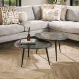 Niora Organic Coffee Table Set of 2 Ceramic Fossil Black 