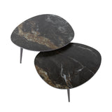 Niora Organic Coffee Table Set of 2 Ceramic Fossil Black 