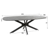 Dining Table Mysha Danish Oval Melamine 215x105 cm