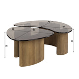 Organic coffee table set Bronze glass 2-piece 