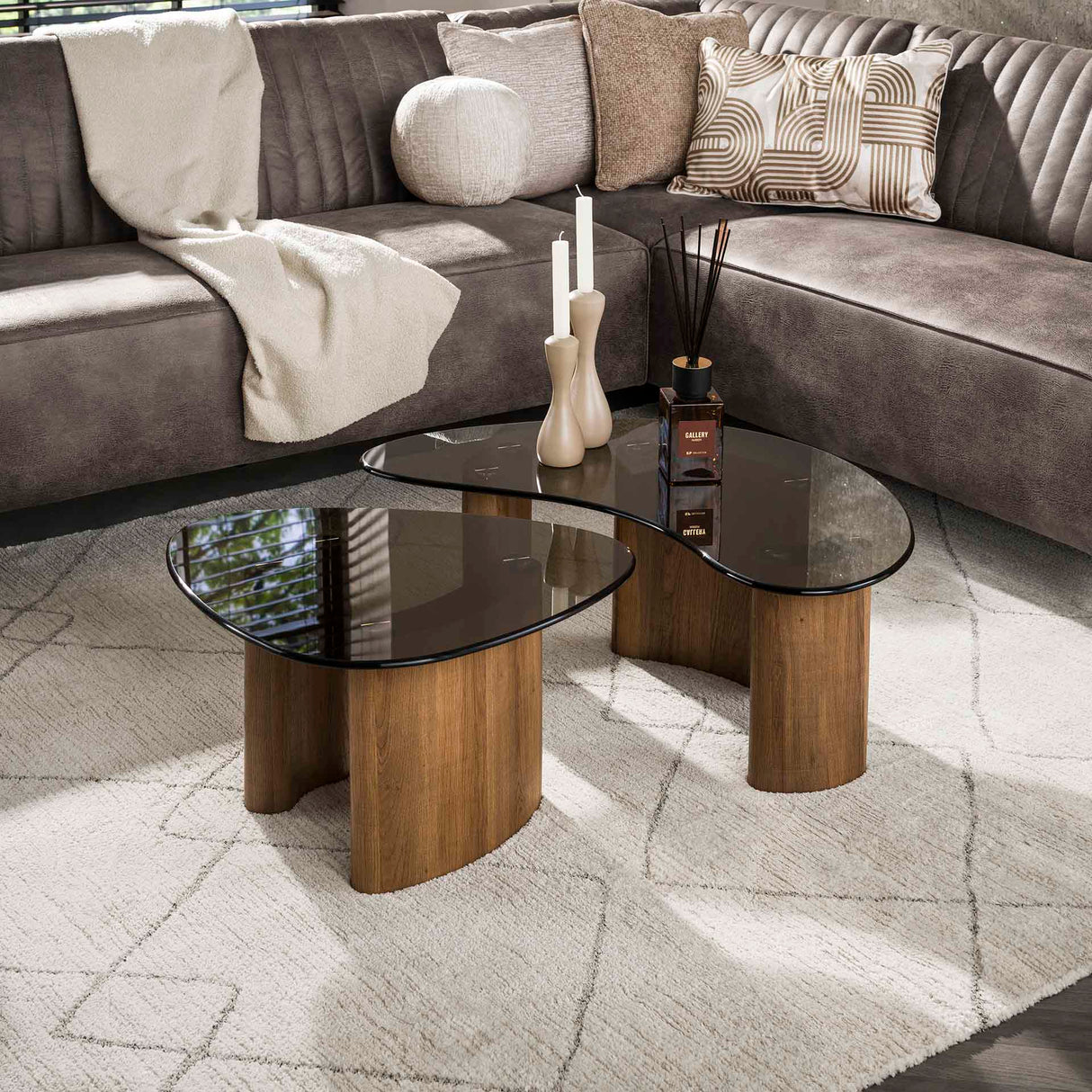 Organic coffee table set Bronze glass 2-piece 