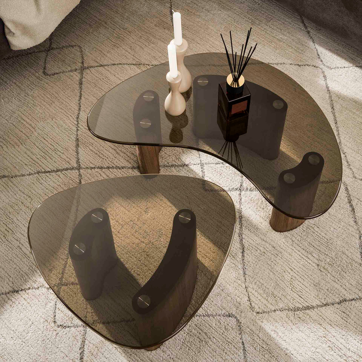 Organic coffee table set Bronze glass 2-piece 