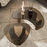 Organic coffee table set Bronze glass 2-piece 