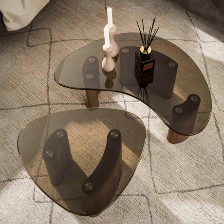 Organic coffee table set Bronze glass 2-piece 