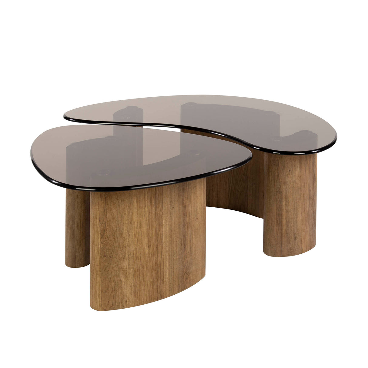 Organic coffee table set Bronze glass 2-piece 