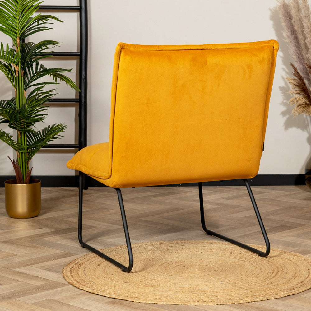 Velvet armchair Malaga ocher yellow